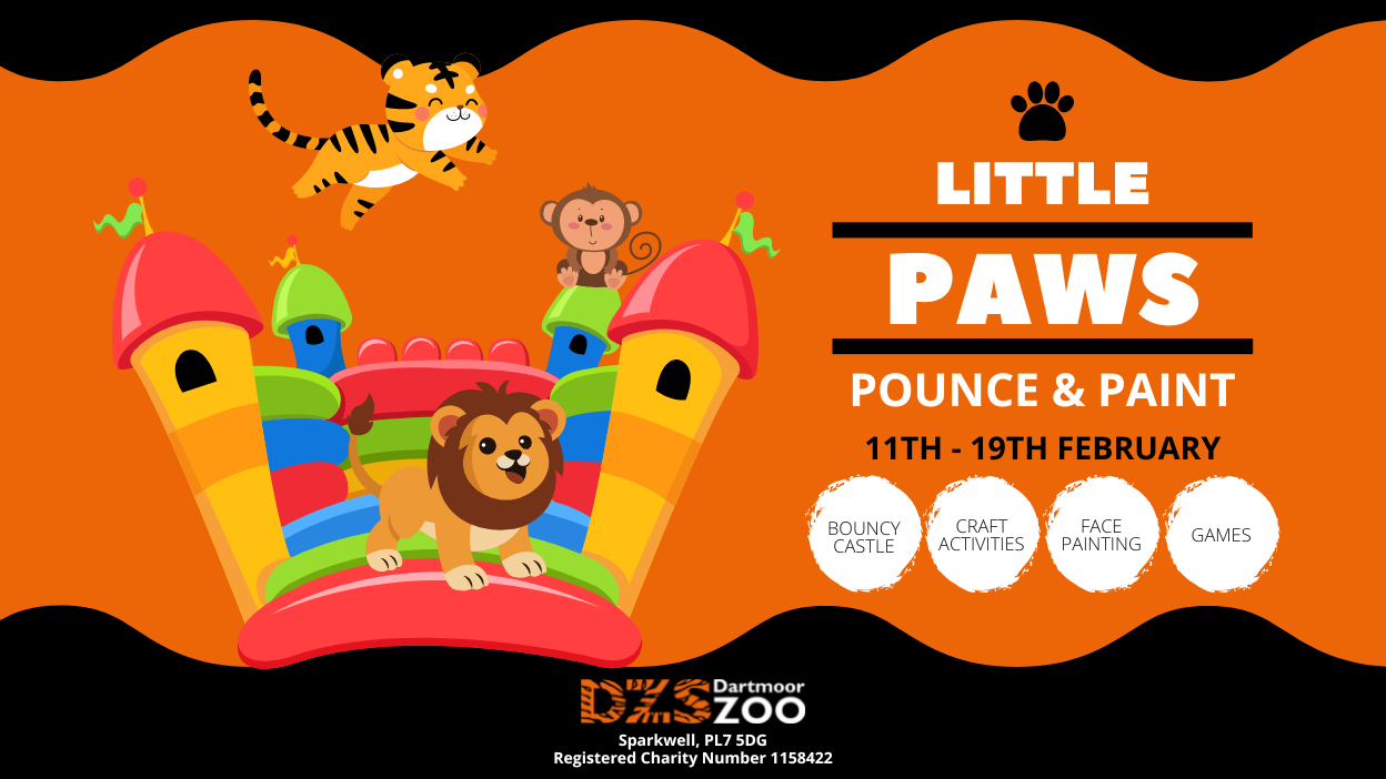 HALF TERM family fun at Dartmoor Zoo Plymouth Bus